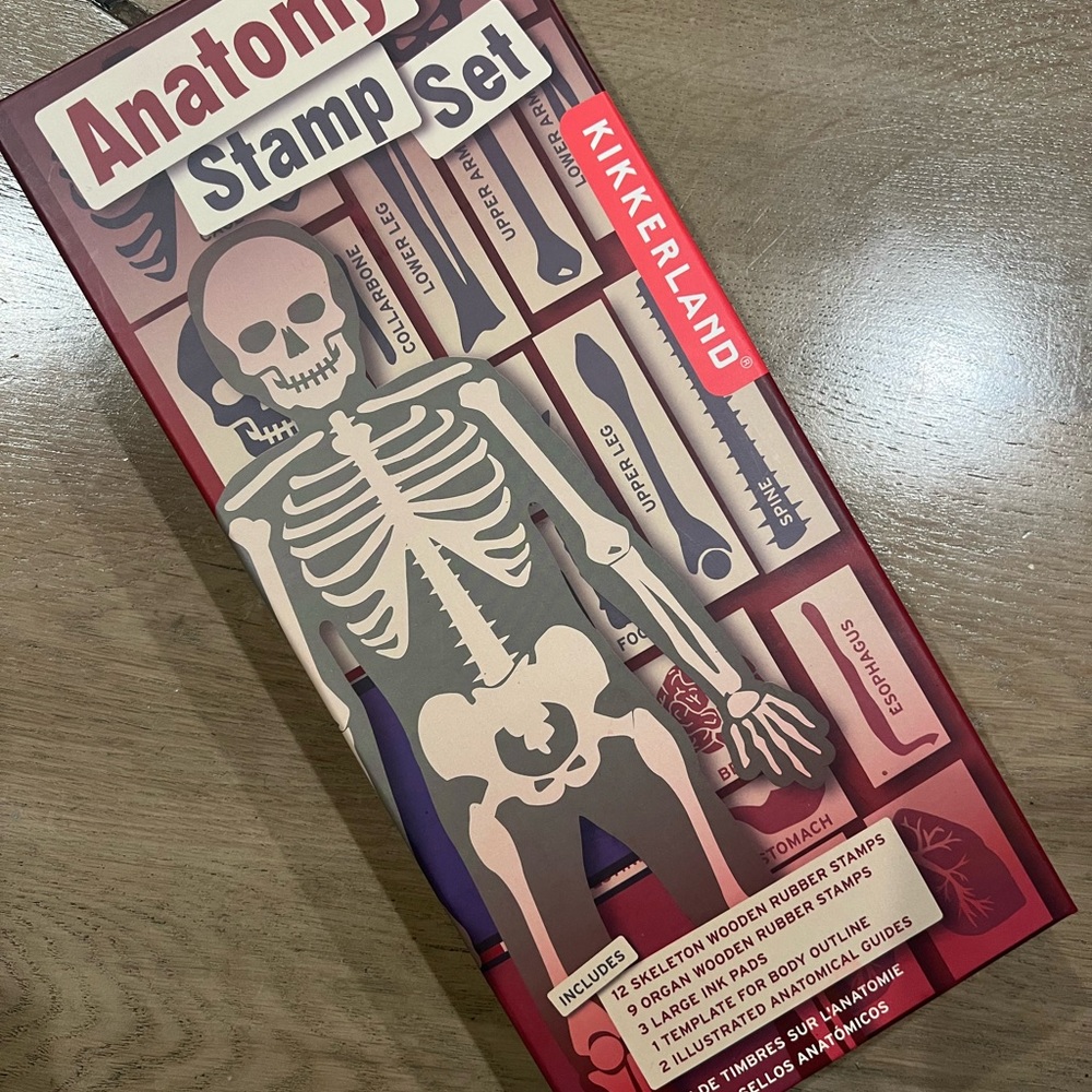 Kikkerland Anatomy Stamp Set with Black and Purple Accents